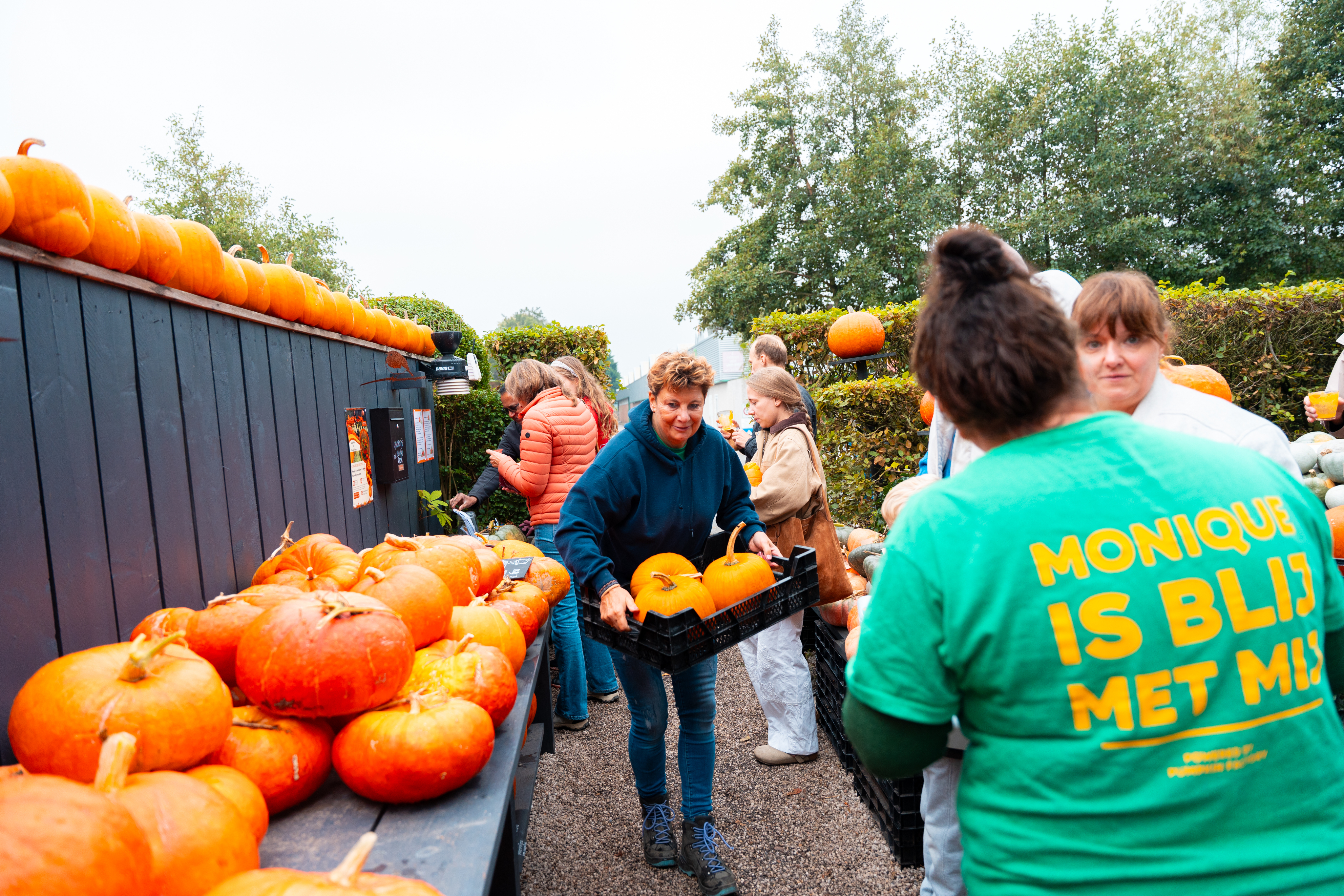 Visitors among the pumpkins